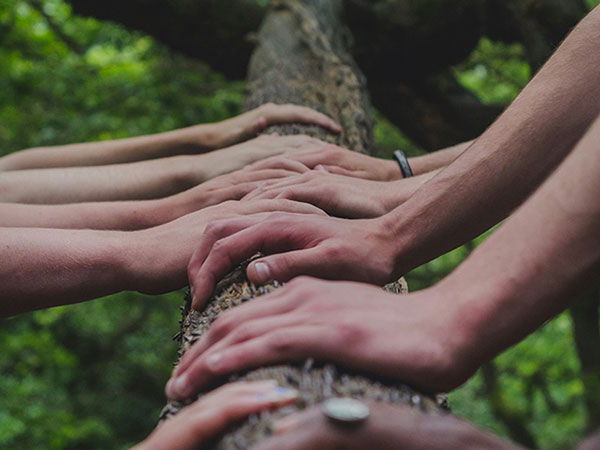 Variès mans juntes a sobre un tronc d'arbre