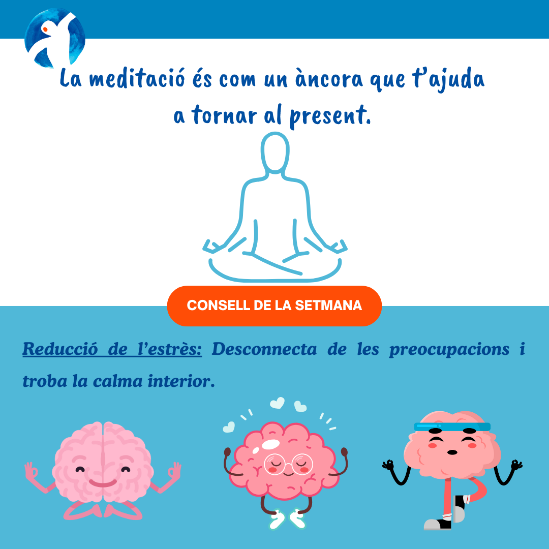MEDITACIÓ CAT